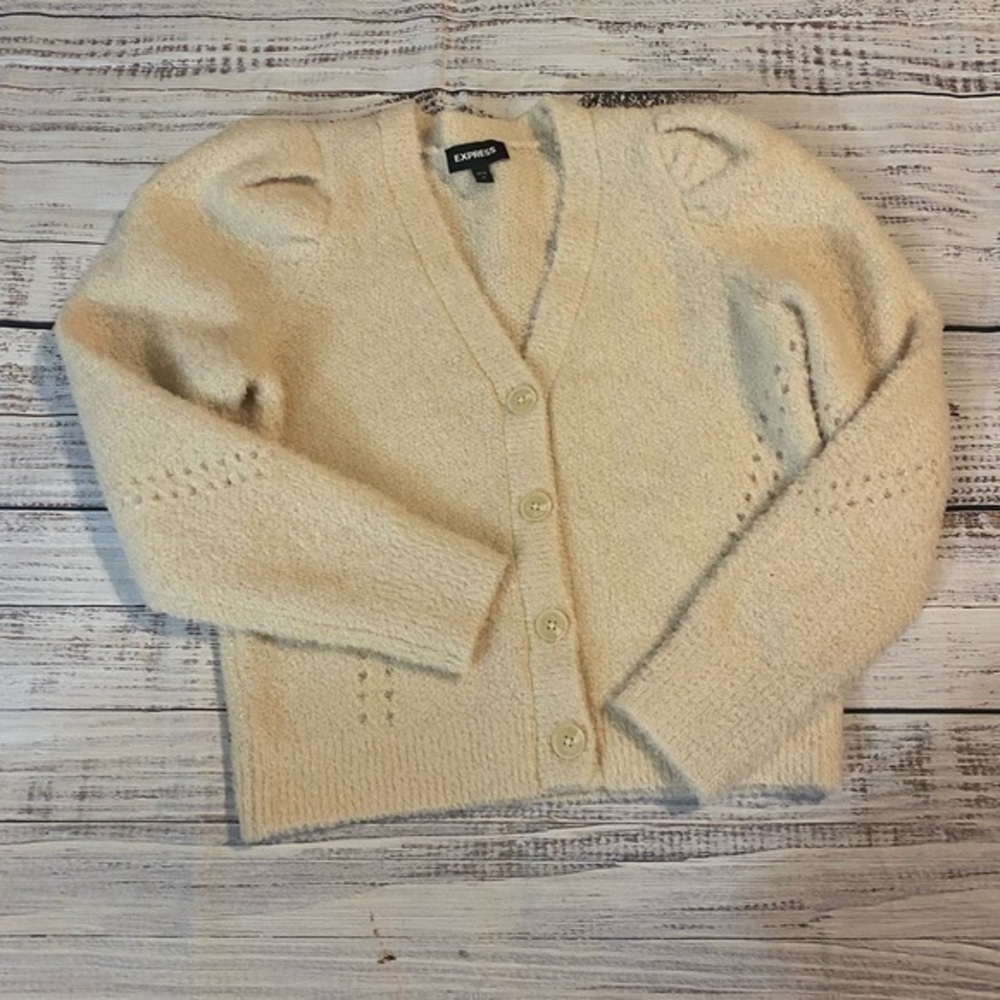 Express Button Down Sweater